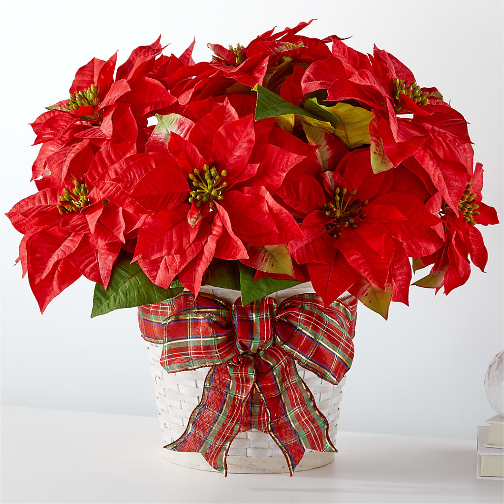 Happiest Holidays Poinsettia – The Eclectic Florist, Northwood NH