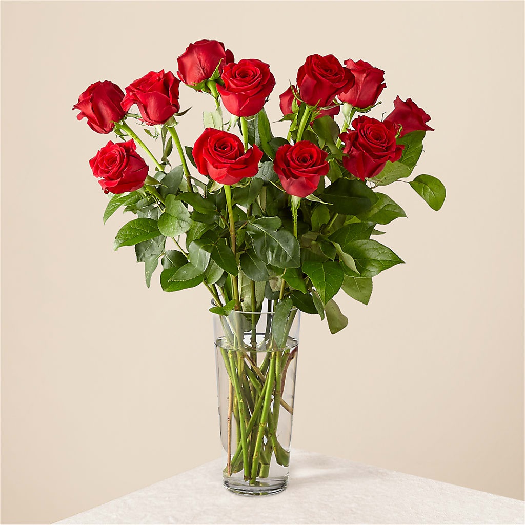 Long Stem Red Rose Bouquet – The Eclectic Florist, Northwood NH