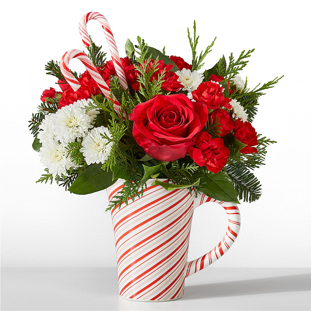 Peppermint Swirl Mug – The Eclectic Florist, Northwood NH