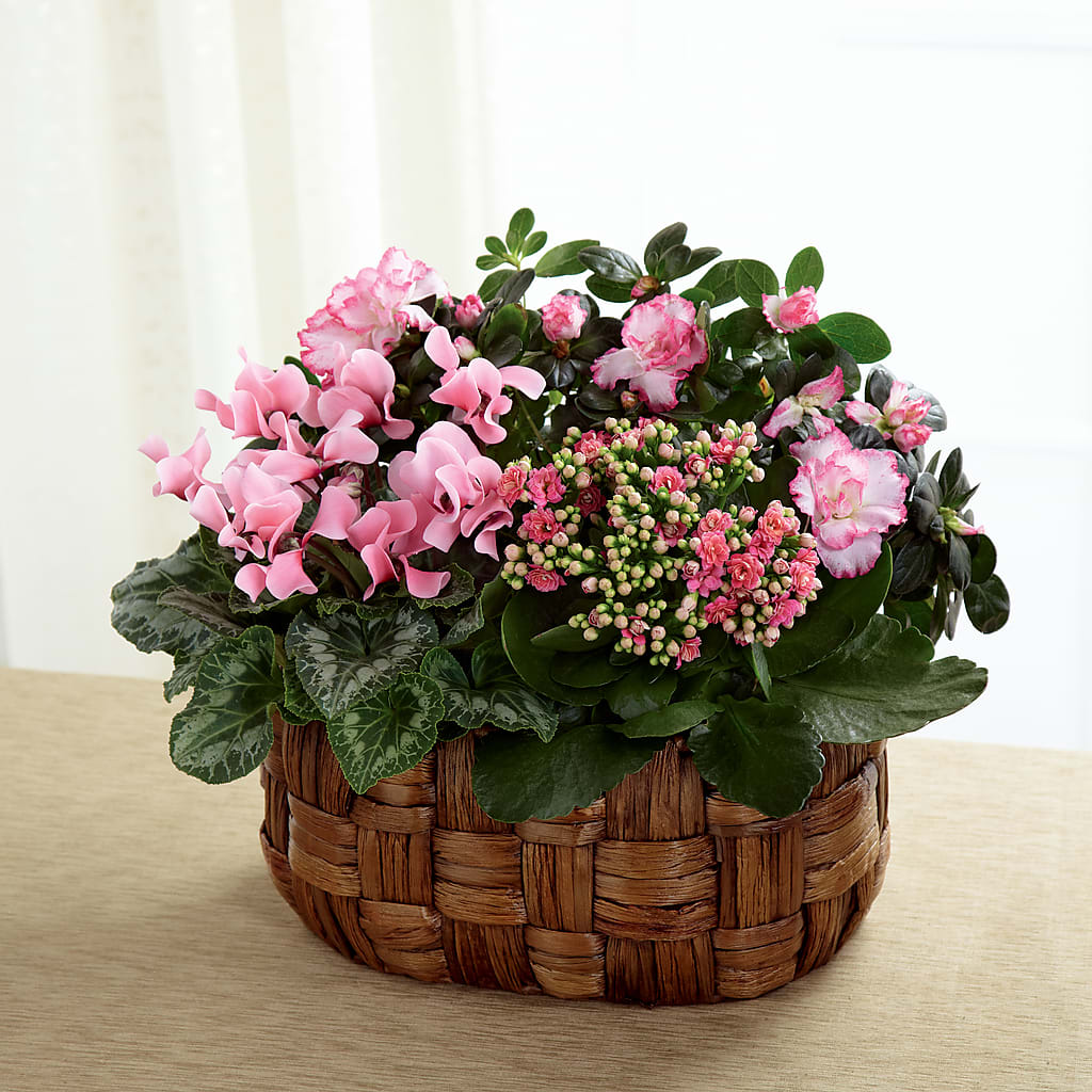 Pink Assortment – The Eclectic Florist, Northwood NH