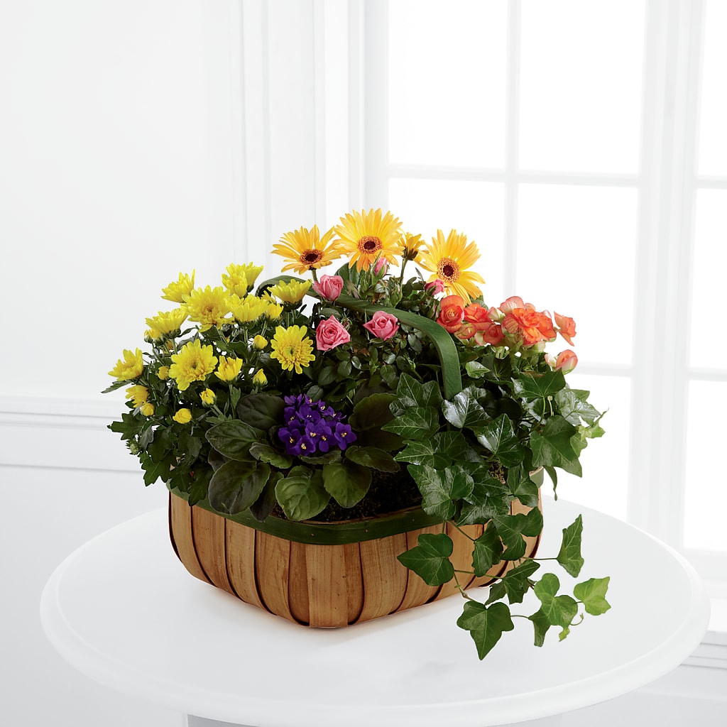 Gentle Blossoms Basket – The Eclectic Florist, Northwood NH