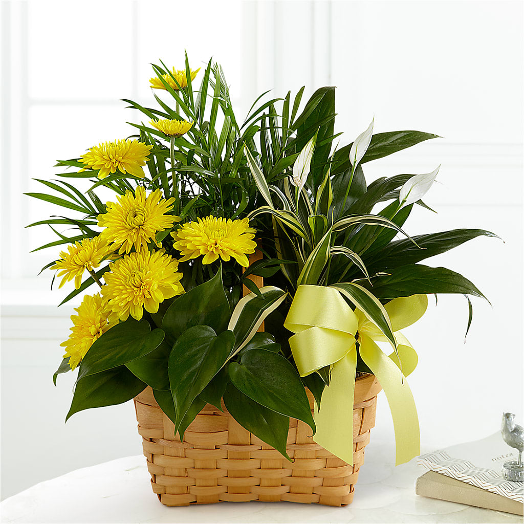 Loving Light Dishgarden – The Eclectic Florist, Northwood NH