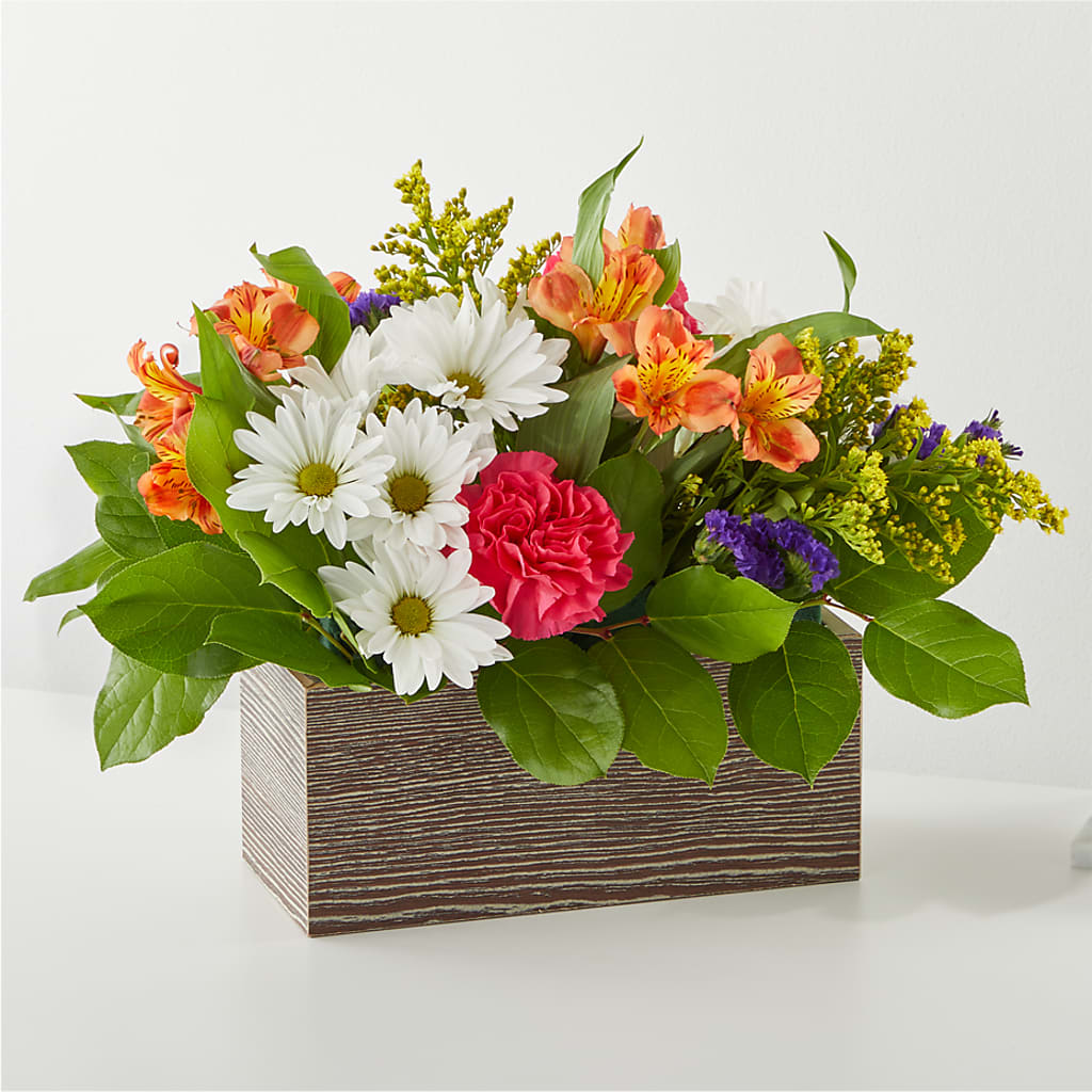 Oopsie Daisy Box Bouquet – The Eclectic Florist, Northwood NH