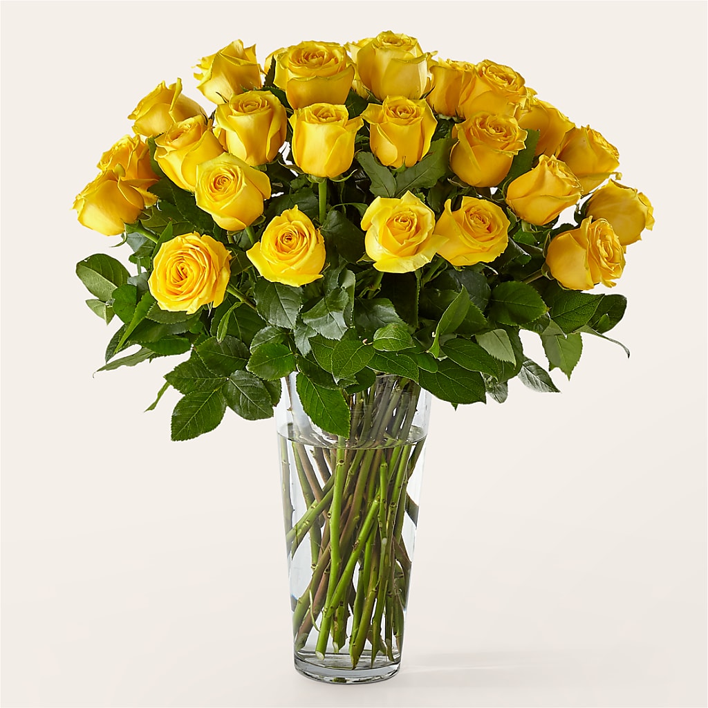 Long Stem Yellow Rose Bouquet – The Eclectic Florist, Northwood NH