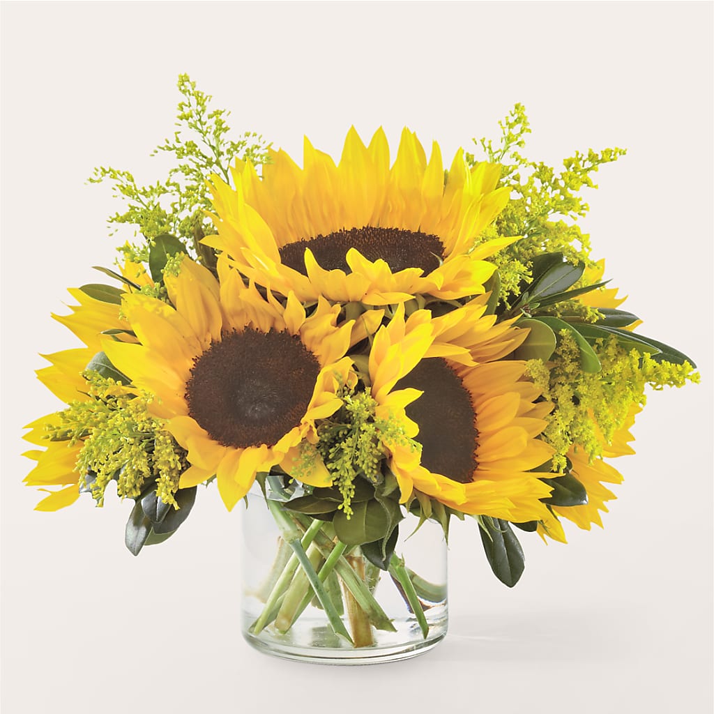 Beaming Sunflower Bouquet – The Eclectic Florist, Northwood NH