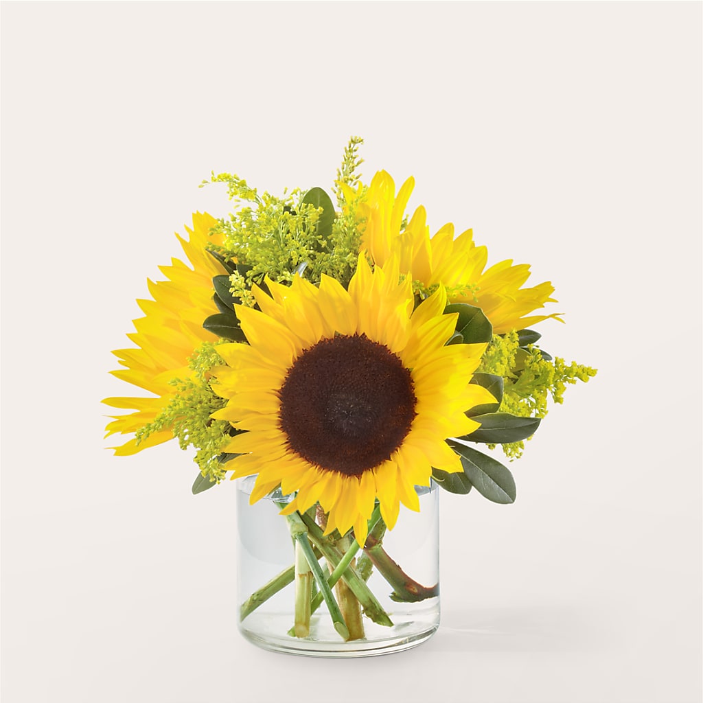 Beaming Sunflower Bouquet – The Eclectic Florist, Northwood NH