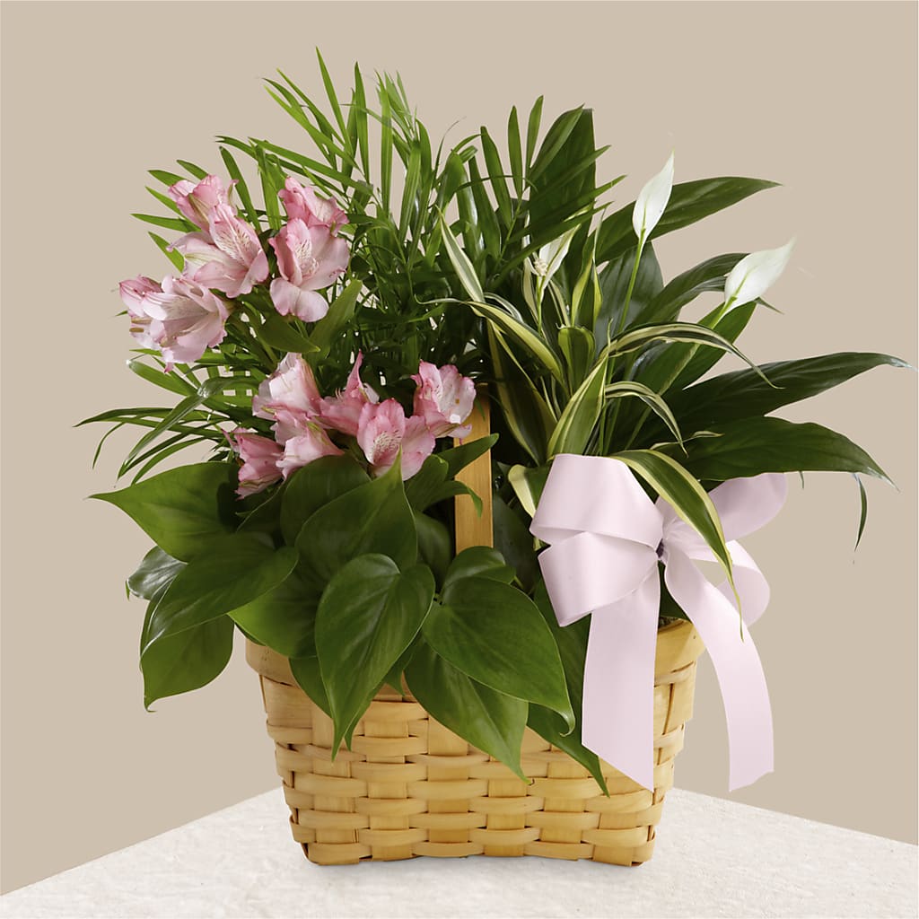 Living Spirit Dishgarden – The Eclectic Florist, Northwood NH