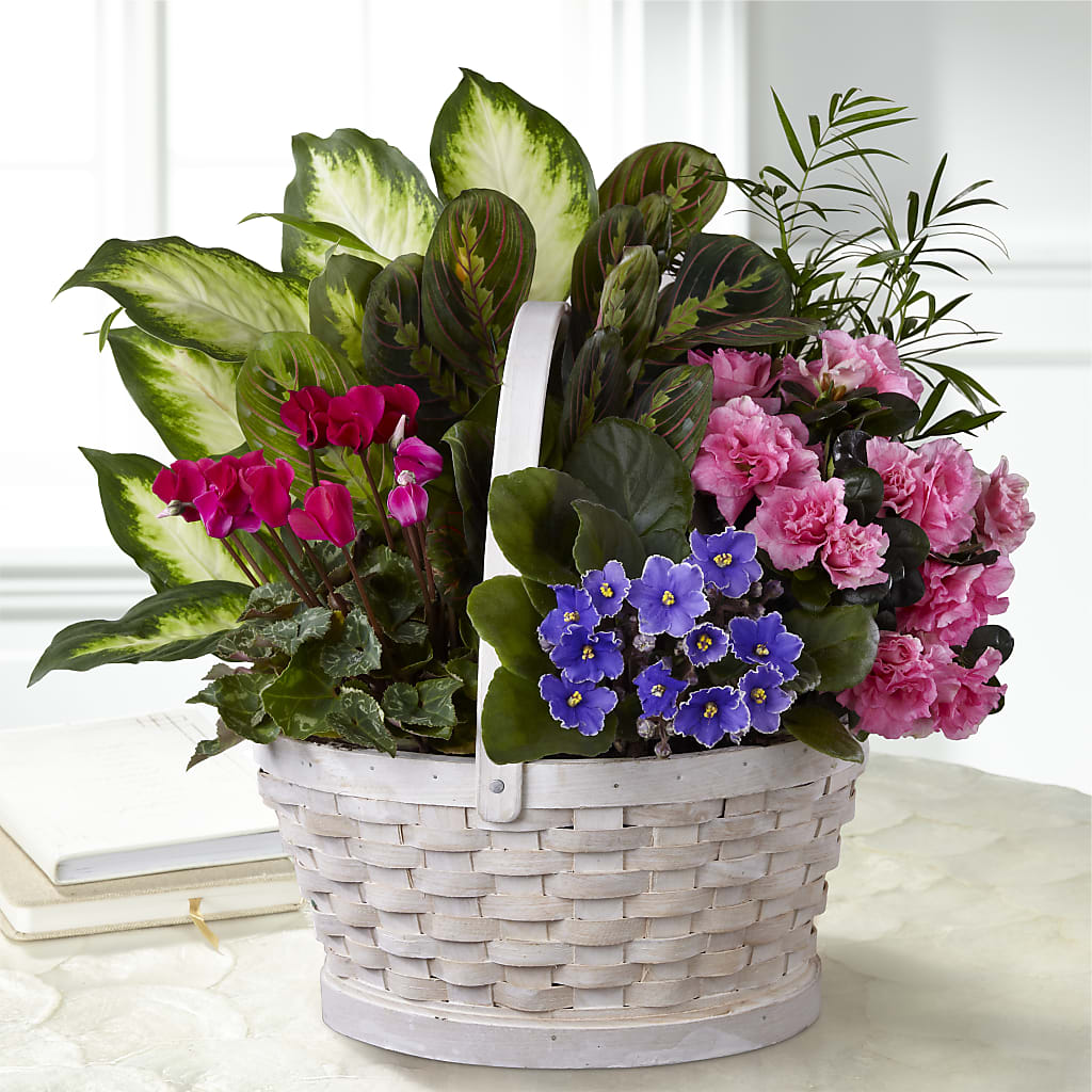 Peaceful Garden Planter – The Eclectic Florist, Northwood NH