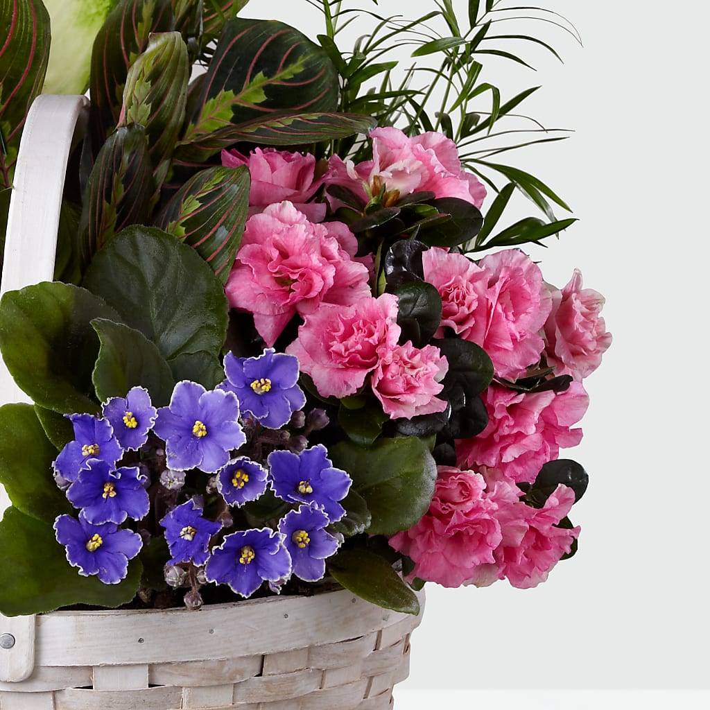 Peaceful Garden Planter – The Eclectic Florist, Northwood NH
