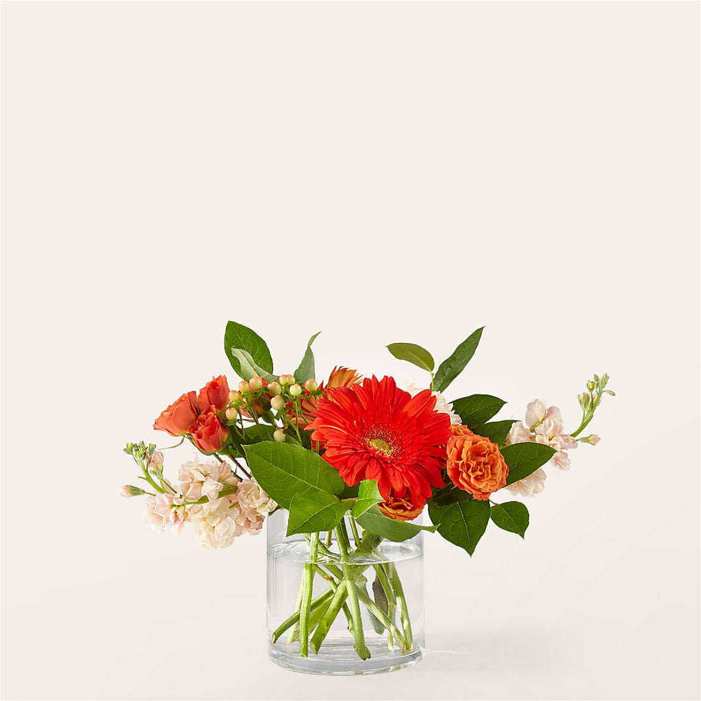 Paloma Please Bouquet – The Eclectic Florist, Northwood NH
