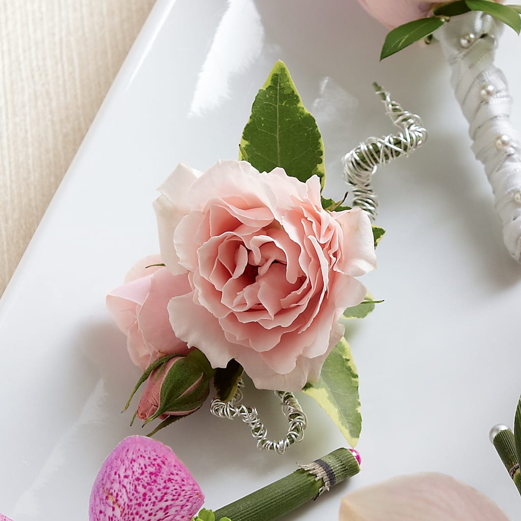 Pink Spray Rose Boutonniere – The Eclectic Florist, Northwood NH