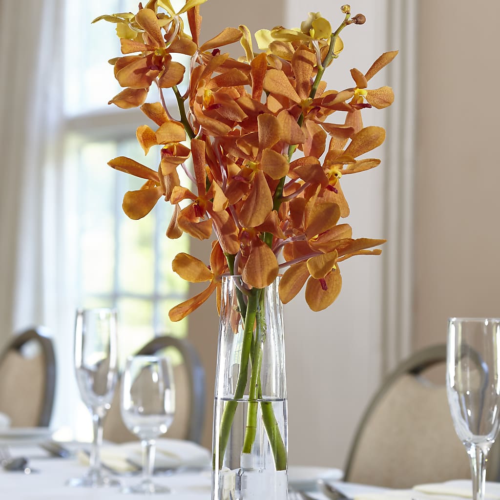Orange Mokara Bud Vase – The Eclectic Florist, Northwood NH