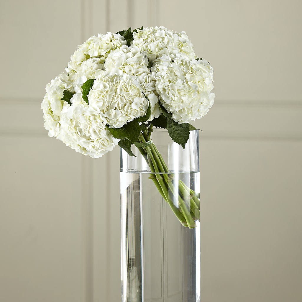 White Hydrangea Hand-Tied Bouquet – The Eclectic Florist, Northwood NH