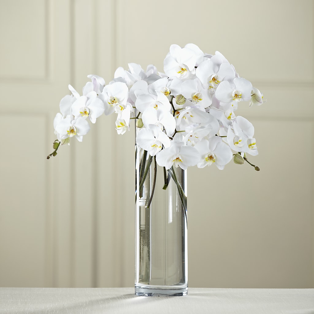 White Phalaenopsis Bouquet – The Eclectic Florist, Northwood NH