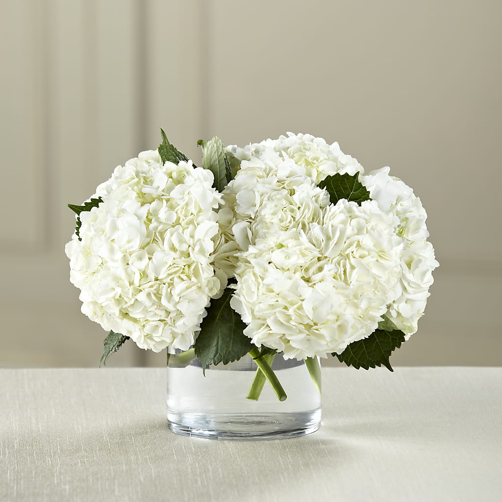 White Hydrangea Bouquet – The Eclectic Florist, Northwood NH