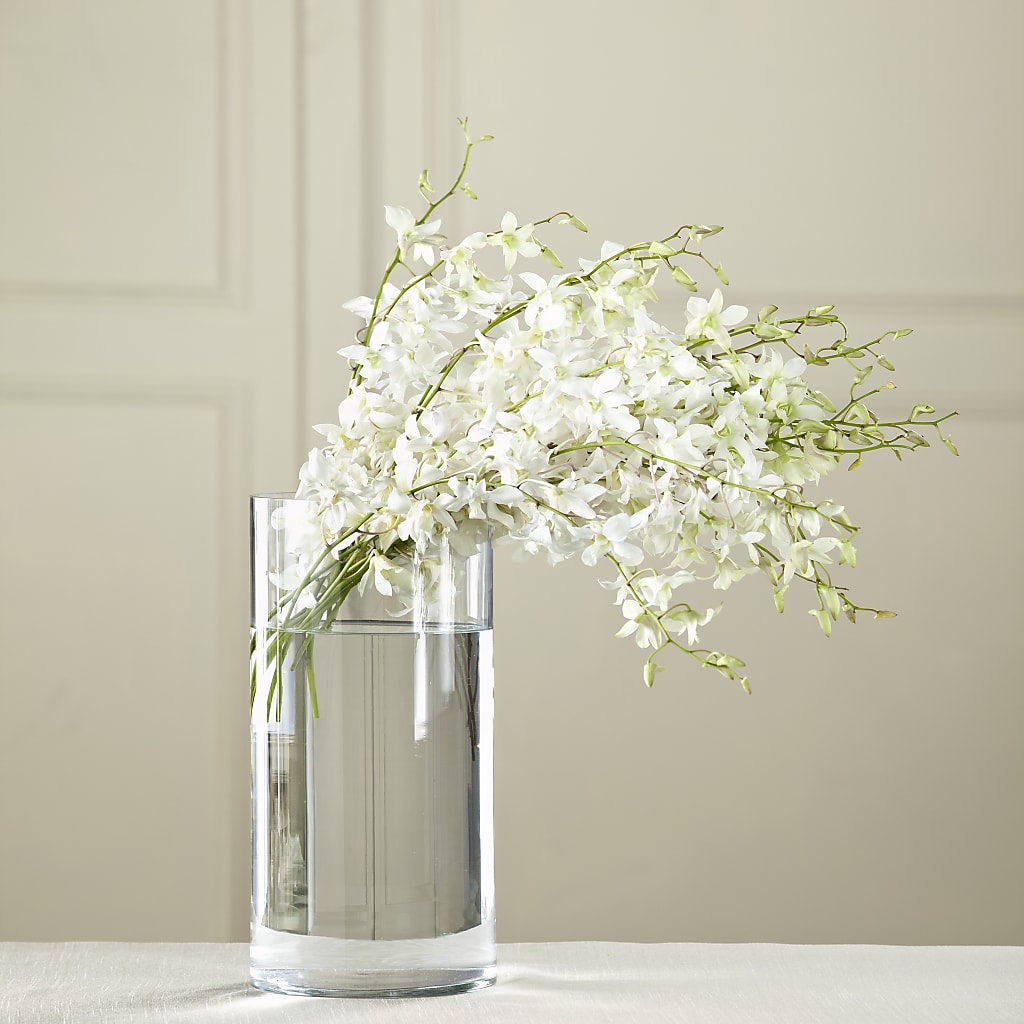 White Dendrobium Bouquet – The Eclectic Florist, Northwood NH
