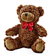 Adorable Plush Bear –  The Eclectic Florist, Northwood NH