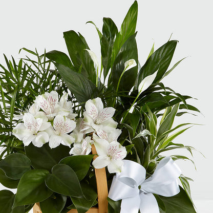 Peace & Serenity Dishgarden –  The Eclectic Florist, Northwood NH