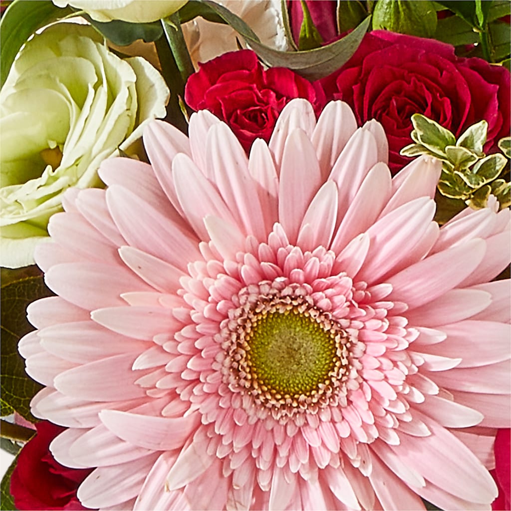 Too Cute Bouquet –  The Eclectic Florist, Northwood NH