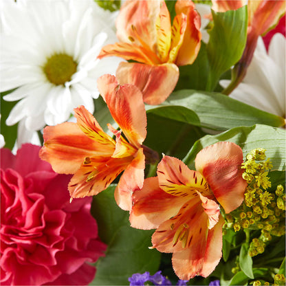 Oopsie Daisy Box Bouquet –  The Eclectic Florist, Northwood NH