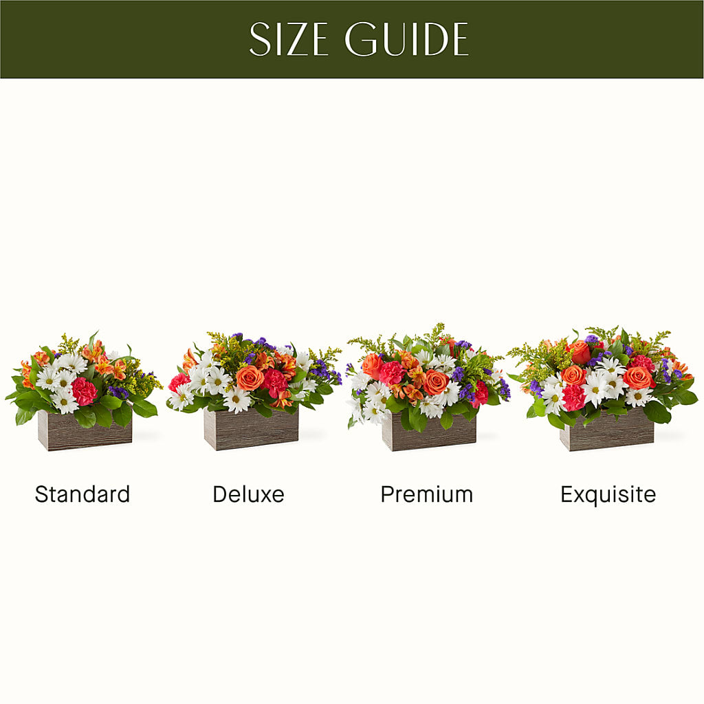 Oopsie Daisy Box Bouquet –  The Eclectic Florist, Northwood NH