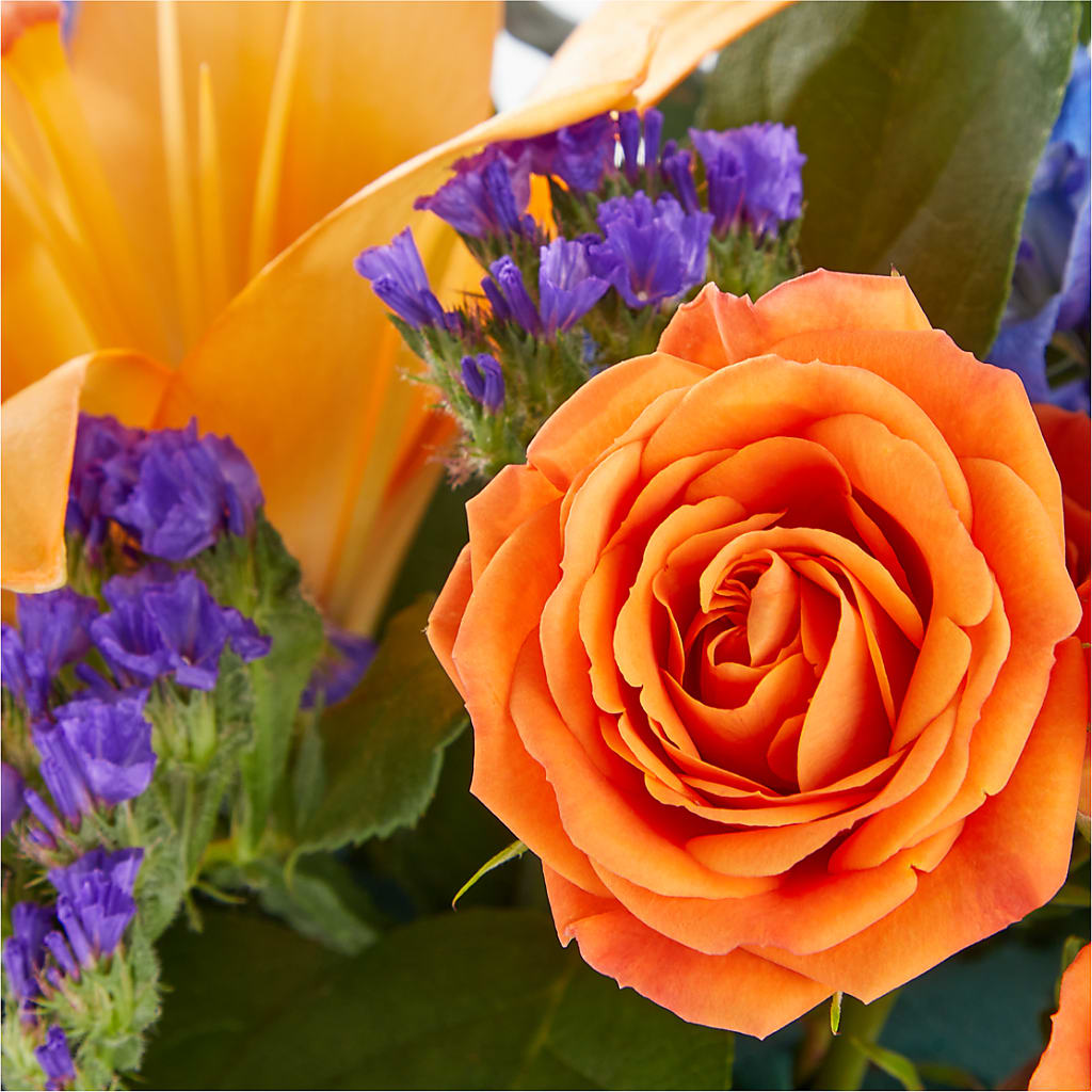 Radiant Citrus Box Bouquet –  The Eclectic Florist, Northwood NH