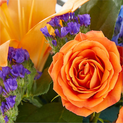 Radiant Citrus Box Bouquet –  The Eclectic Florist, Northwood NH