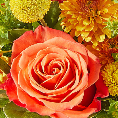 Gourdgeous Pumpkin –  The Eclectic Florist, Northwood NH
