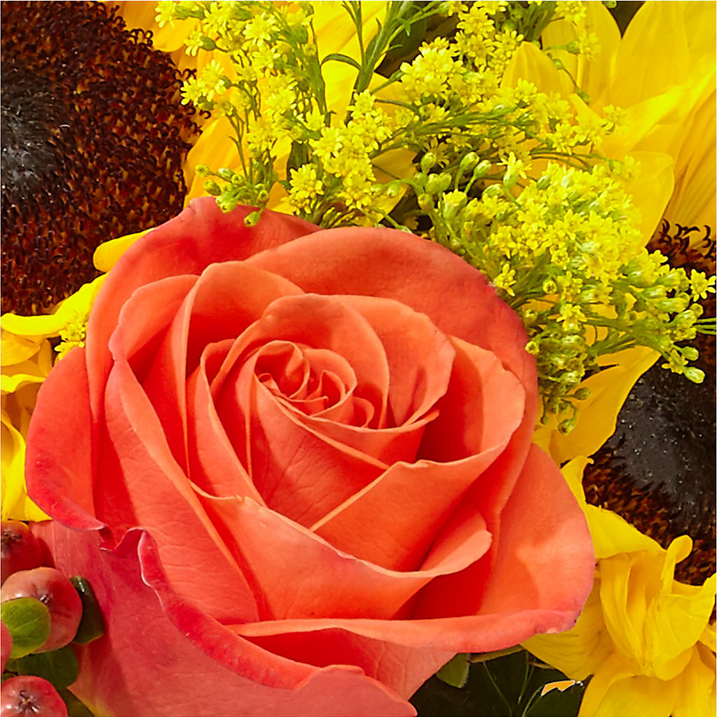 Pick of the Patch Pumpkin Bouquet –  The Eclectic Florist, Northwood NH