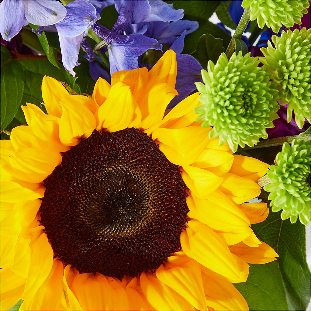 Catching Rays Bouquet –  The Eclectic Florist, Northwood NH