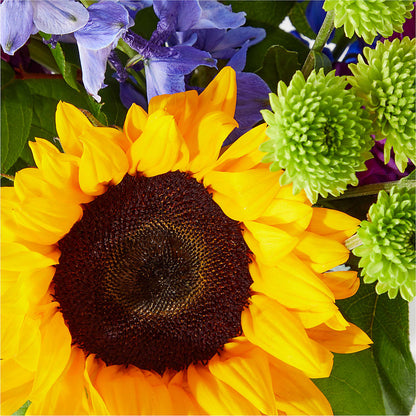 Catching Rays Bouquet –  The Eclectic Florist, Northwood NH