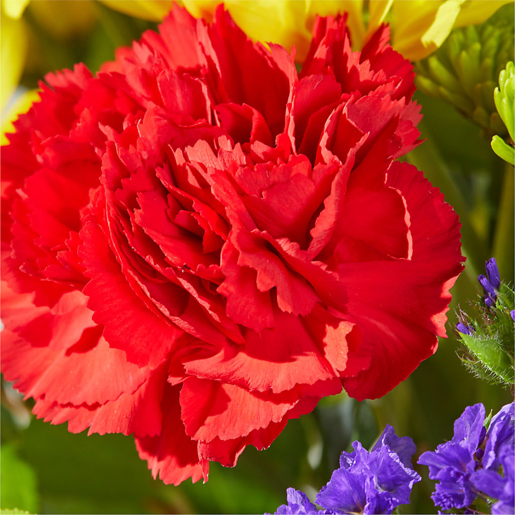 Brighter Days Bouquet –  The Eclectic Florist, Northwood NH