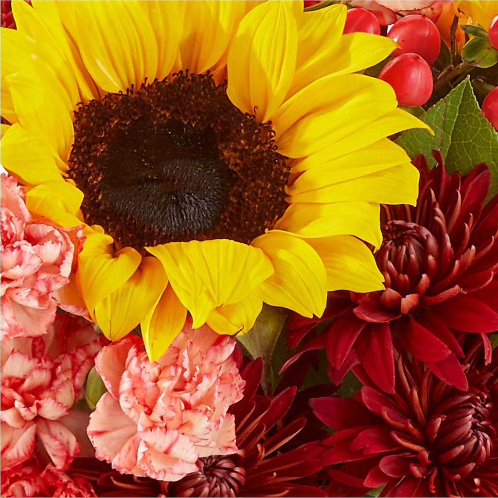 Fresh Cider Bouquet –  The Eclectic Florist, Northwood NH