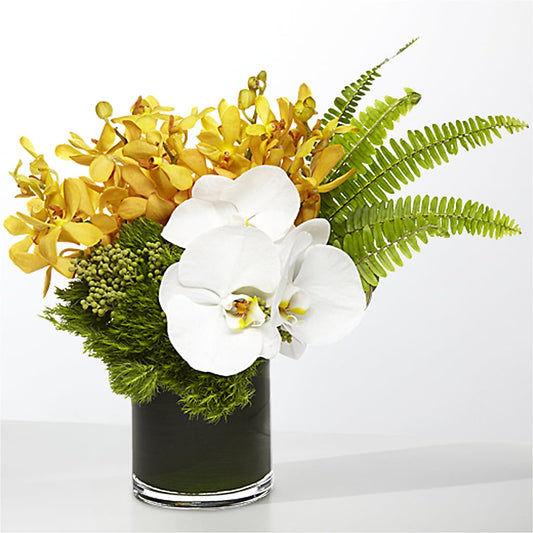 The Tropics –  The Eclectic Florist, Northwood NH