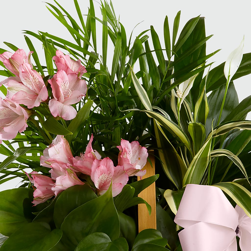 Living Spirit Dishgarden –  The Eclectic Florist, Northwood NH