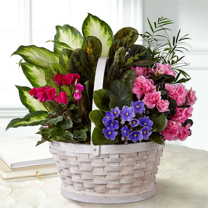 Peaceful Garden Planter –  The Eclectic Florist, Northwood NH