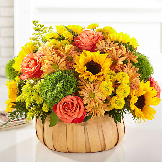 Harvest Sunflower Basket –  The Eclectic Florist, Northwood NH