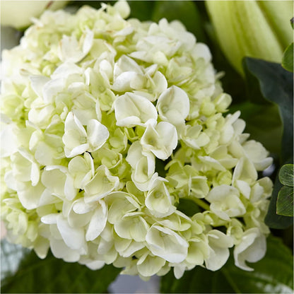 Classic Ivory – A Florist Original –  The Eclectic Florist, Northwood NH