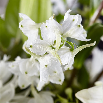 Classic Ivory – A Florist Original –  The Eclectic Florist, Northwood NH