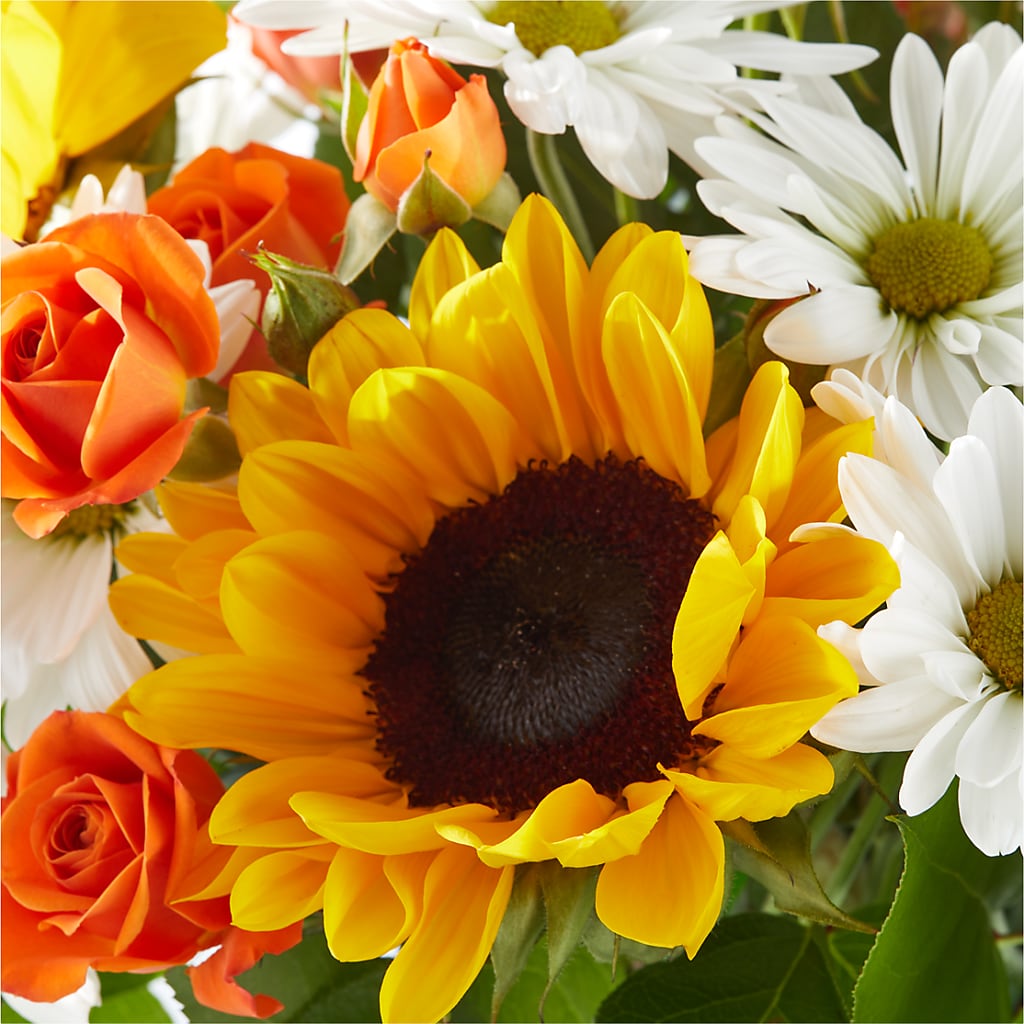Sun-drenched Blooms Bouquet –  The Eclectic Florist, Northwood NH