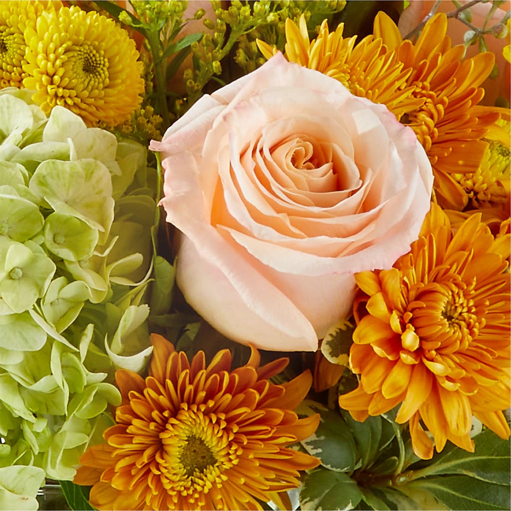 Fall Foliage Bouquet –  The Eclectic Florist, Northwood NH
