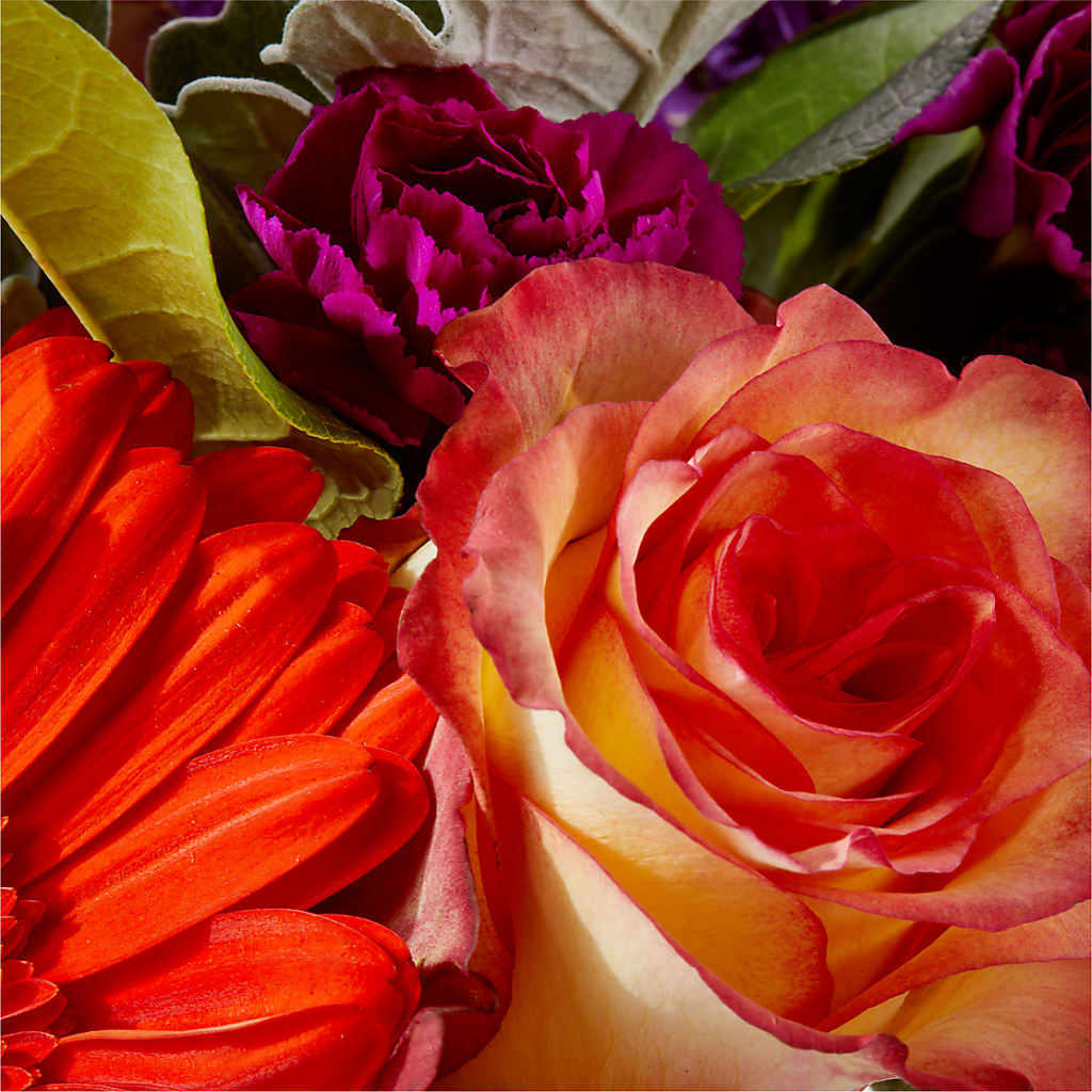 Sangria Bouquet –  The Eclectic Florist, Northwood NH