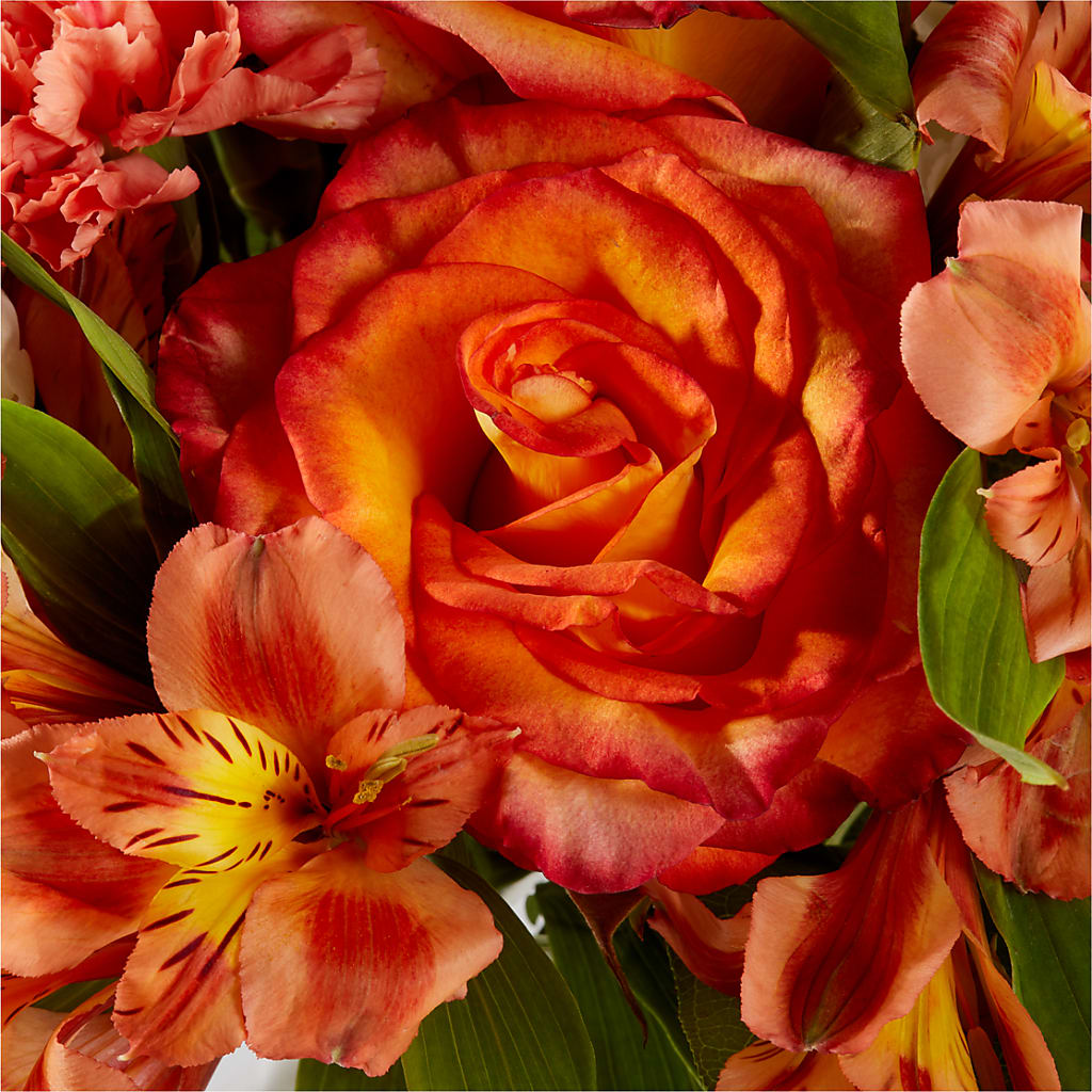 Apricot Glow Bouquet –  The Eclectic Florist, Northwood NH