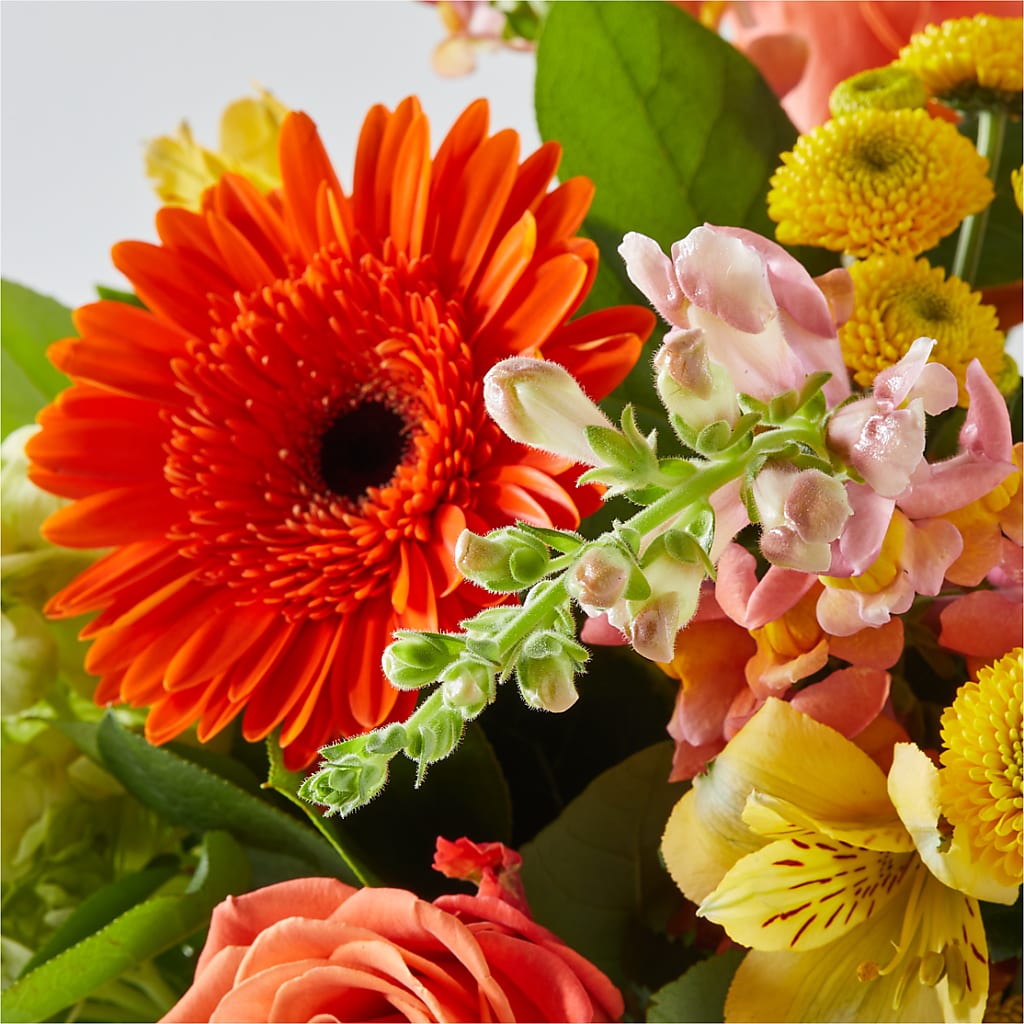 Autumn Sunshine Bouquet –  The Eclectic Florist, Northwood NH