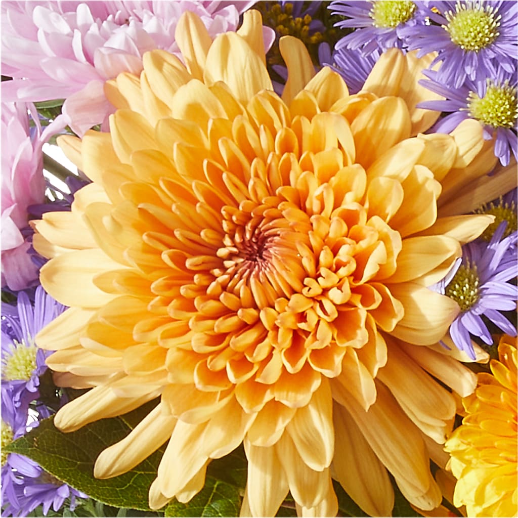Countryside Bouquet –  The Eclectic Florist, Northwood NH