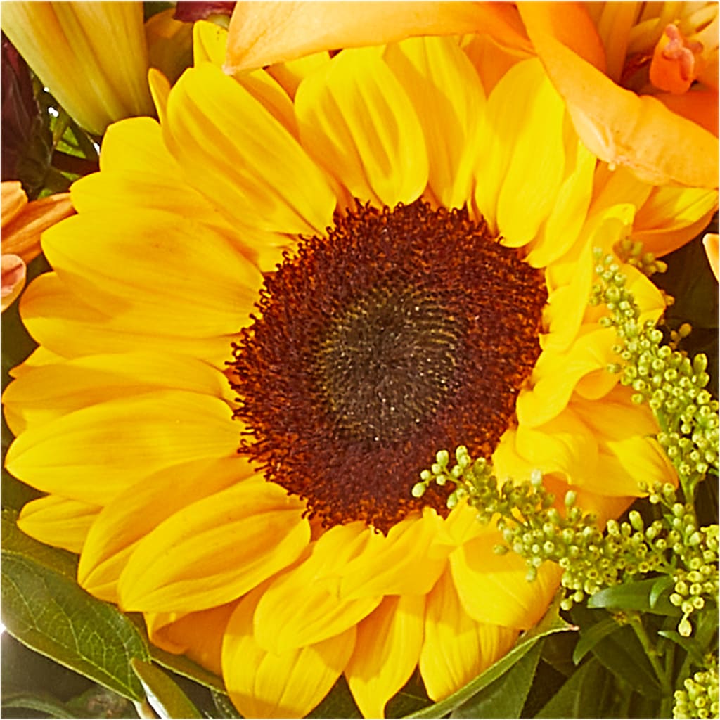 Seasons Change Bouquet –  The Eclectic Florist, Northwood NH