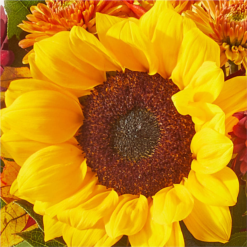 Sunny Side Bouquet –  The Eclectic Florist, Northwood NH
