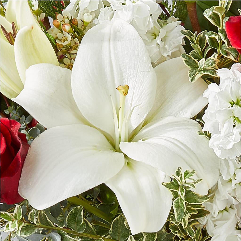 Twinkle Lights Bouquet –  The Eclectic Florist, Northwood NH