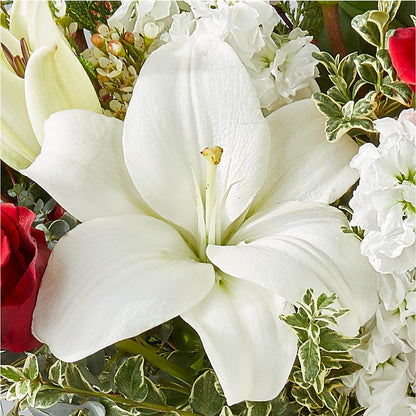 Twinkle Lights Bouquet –  The Eclectic Florist, Northwood NH