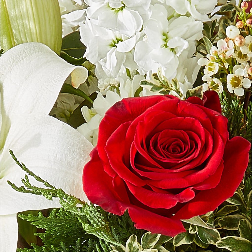 Twinkle Lights Bouquet –  The Eclectic Florist, Northwood NH
